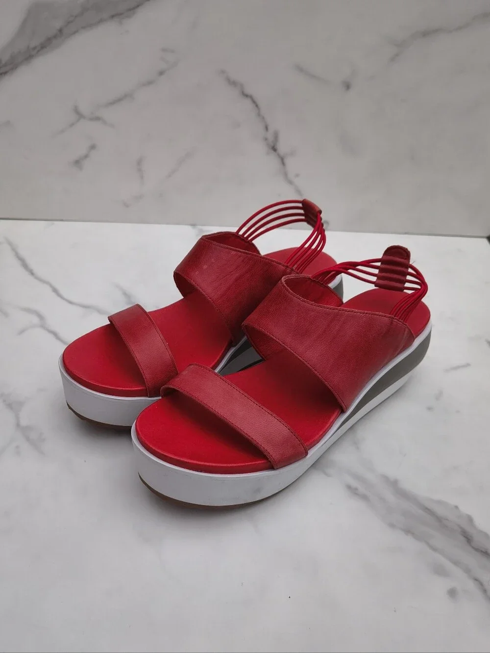 Antelope size 39